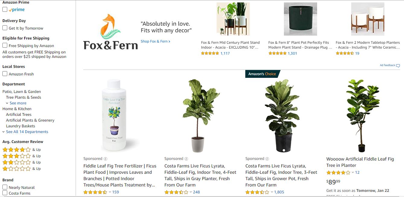 The Best Online Plant Shops with Rare & Popular Options