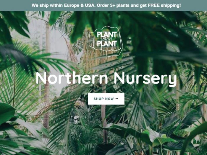 The Best Online Plant Shops with Rare & Popular Options